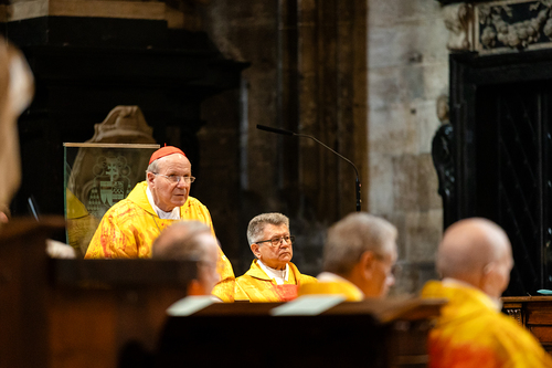 Priesterjubiläen / Erzdiözese Wien/Schönlaub