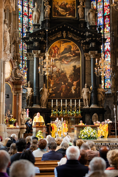 Priesterjubiläen / Erzdiözese Wien/Schönlaub