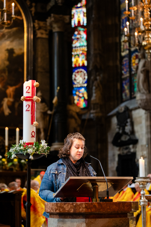 Priesterjubiläen / Erzdiözese Wien/Schönlaub